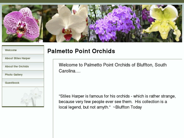 www.palmettopointorchids.com