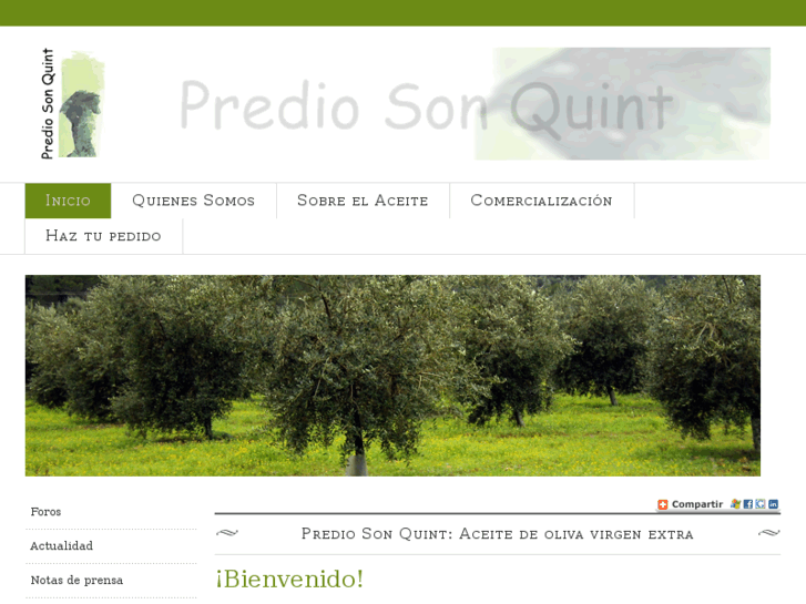 www.prediosonquint.es