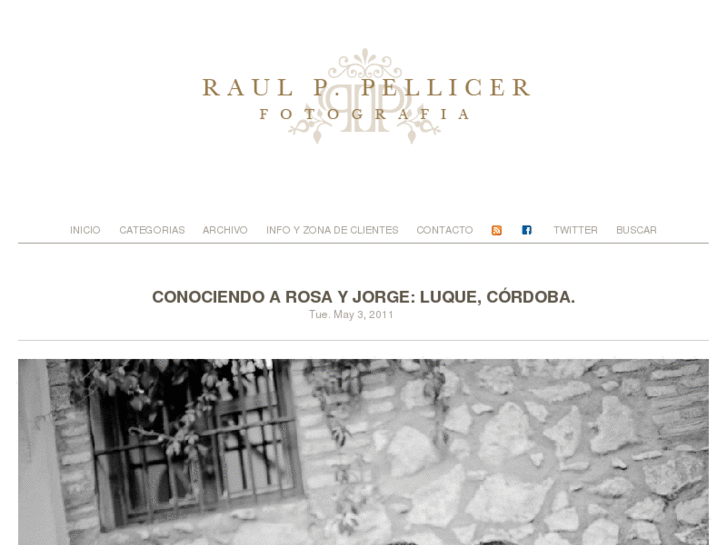 www.raulppellicer.com