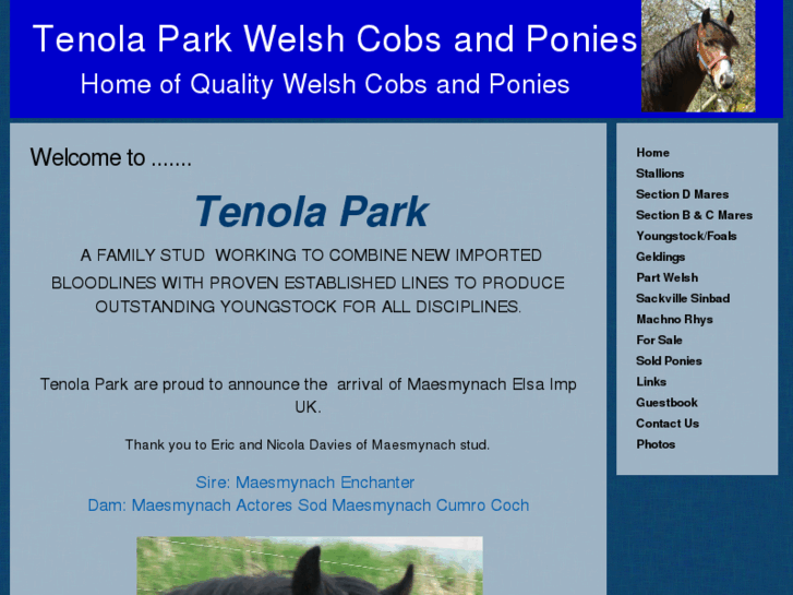 www.tenolapark.com