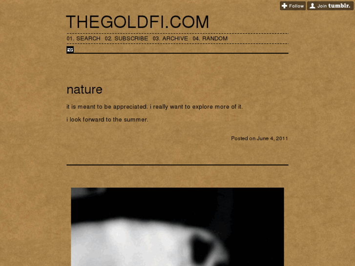 www.thegoldfi.com