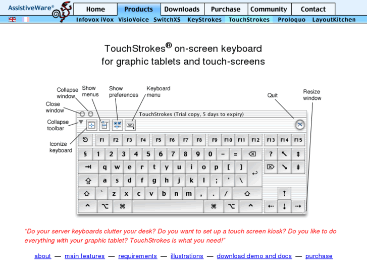 www.touchstrokes.com