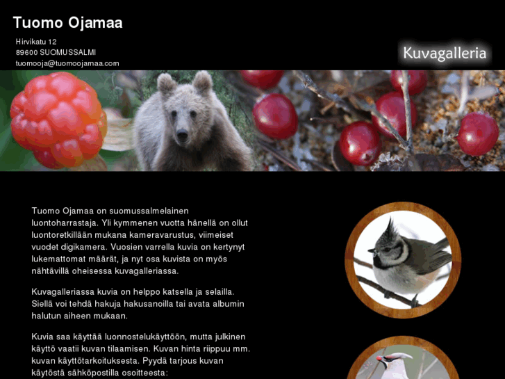 www.tuomoojamaa.com