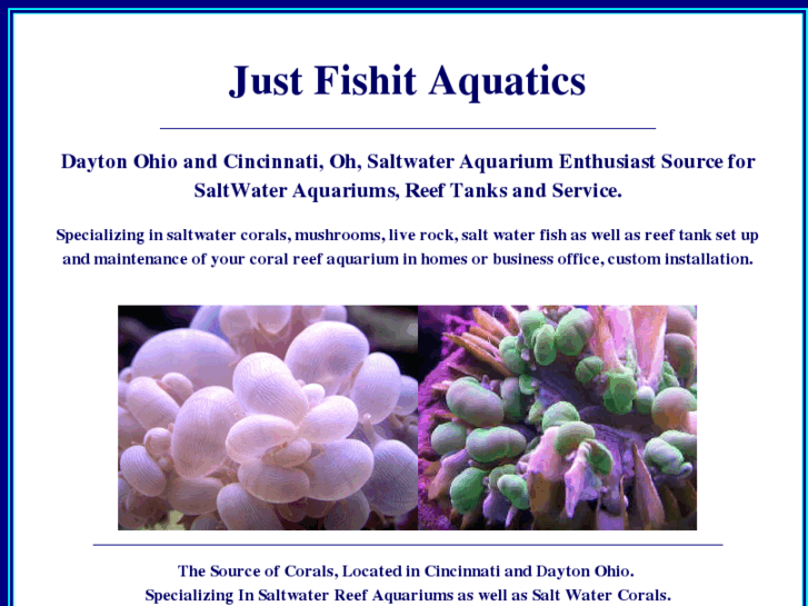 www.fishit.net