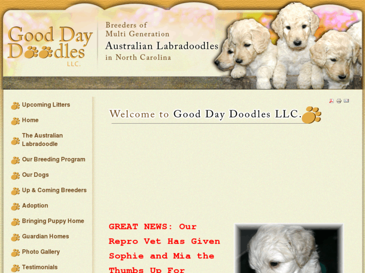 www.gooddaydoodles.com