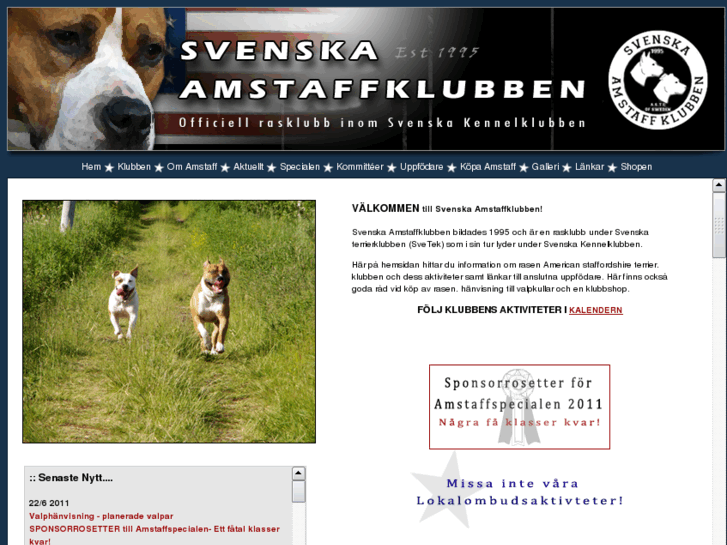 www.amstaffklubben.se