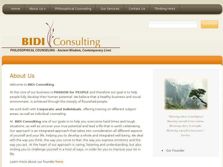 www.bidiconsulting.com