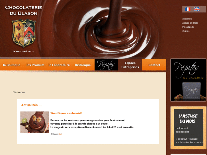 www.chocolateriedublason.com