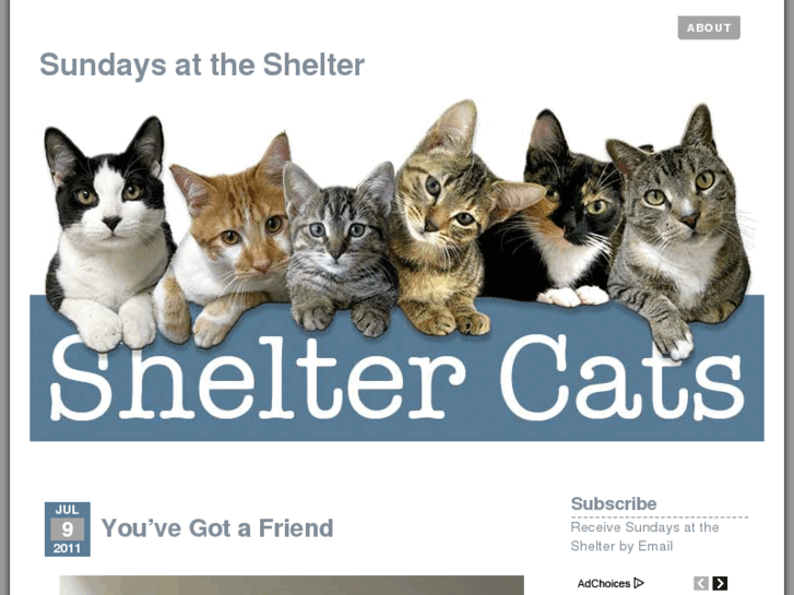 www.shelter-cats.com