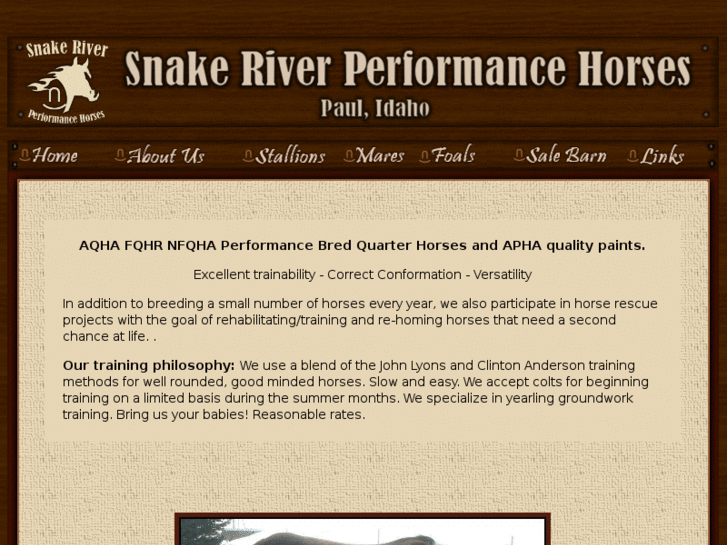 www.snakeriverperformancehorses.com