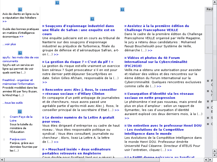 www.veille-intelligence-economique.com