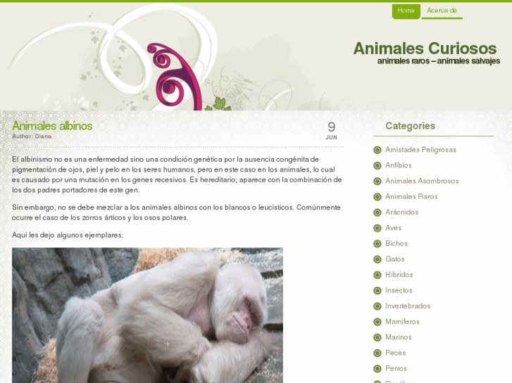 www.animalescuriosos.com