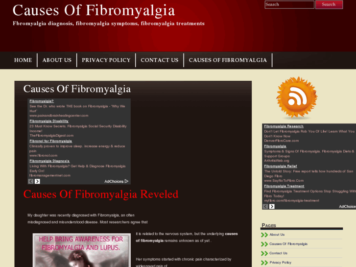 www.causesoffibromyalgia.org