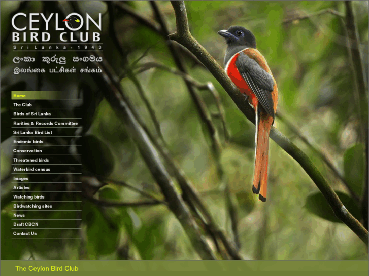 www.ceylonbirdclub.com