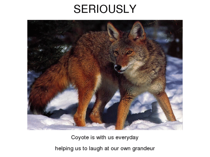 www.coyotelaughs.com