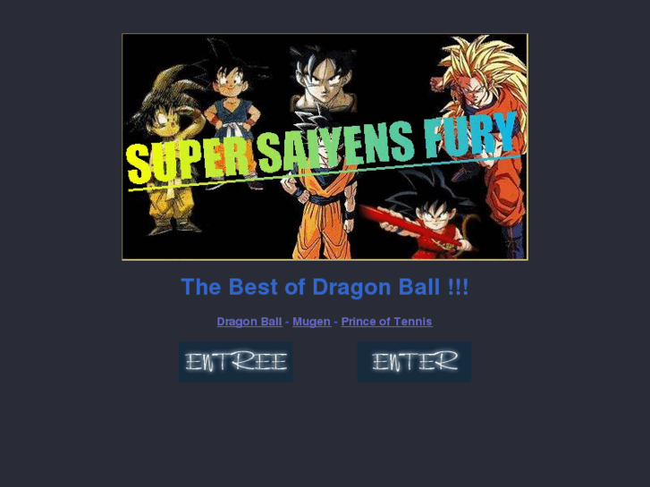 www.dragonball-fury.net