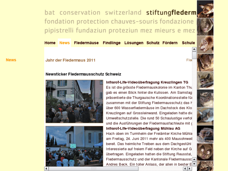 www.fledermausschutz.ch