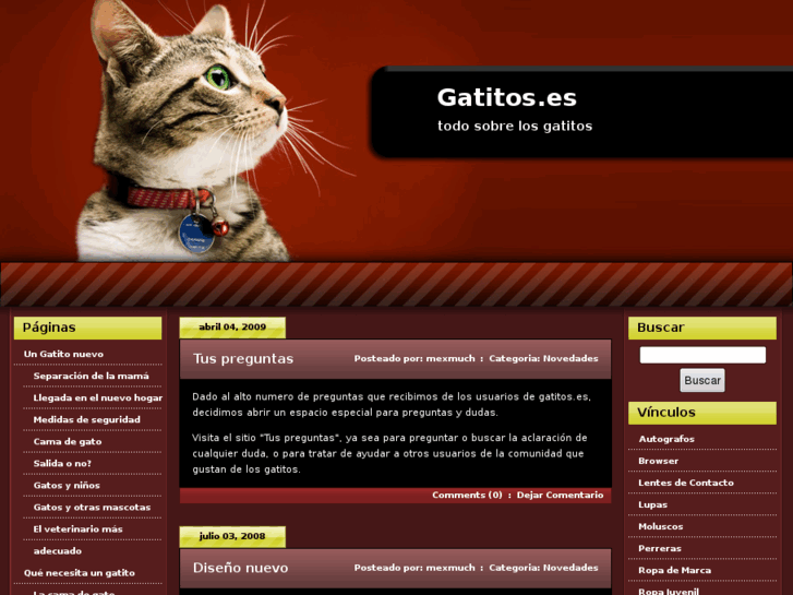 www.gatitos.es