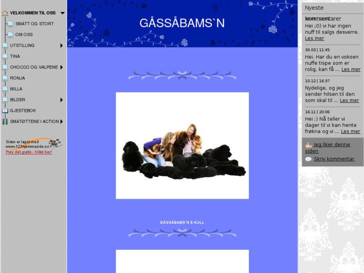 www.gossobamsn.com