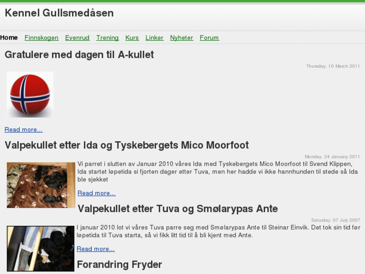 www.gullsmedaasen.com