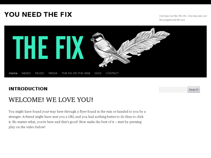 www.youneedthefix.com