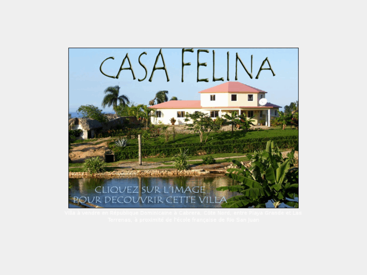 www.casafelina.com