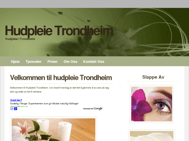 www.hudpleietrondheim.com
