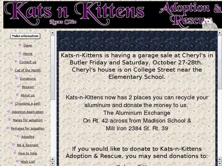 www.katsnkittens.com