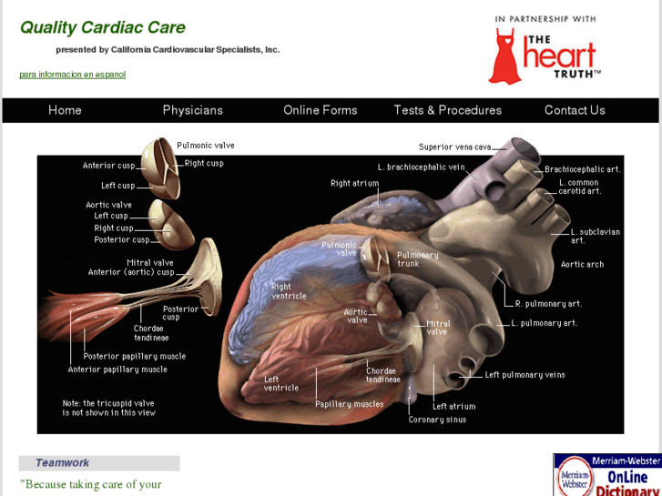 www.qualitycardiaccare.com