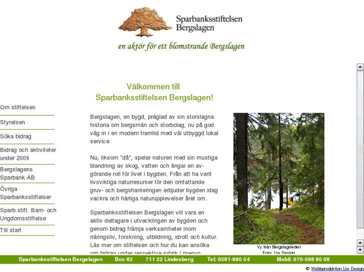 www.sparbanksstiftelsenbergslagen.se