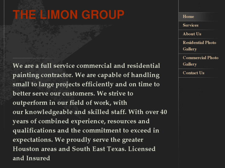 www.thelimongroup.net