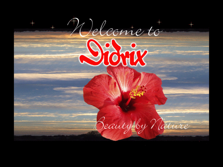 www.didrix.net