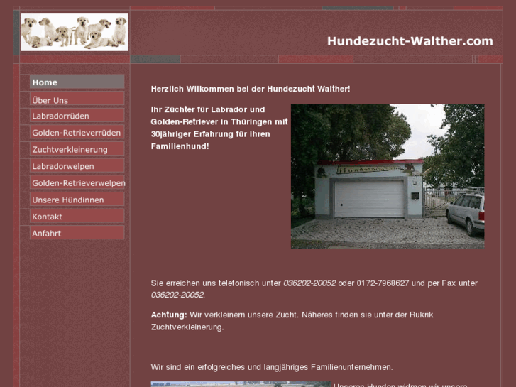 www.hundezucht-walther.com
