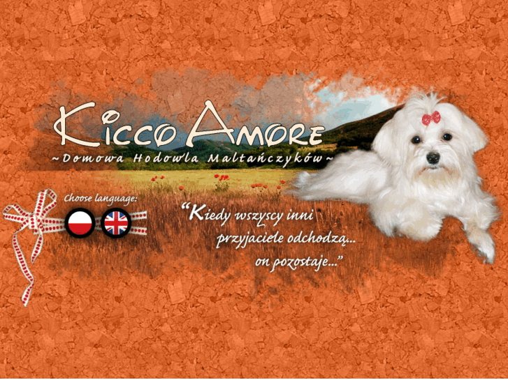 www.kiccoamore.pl