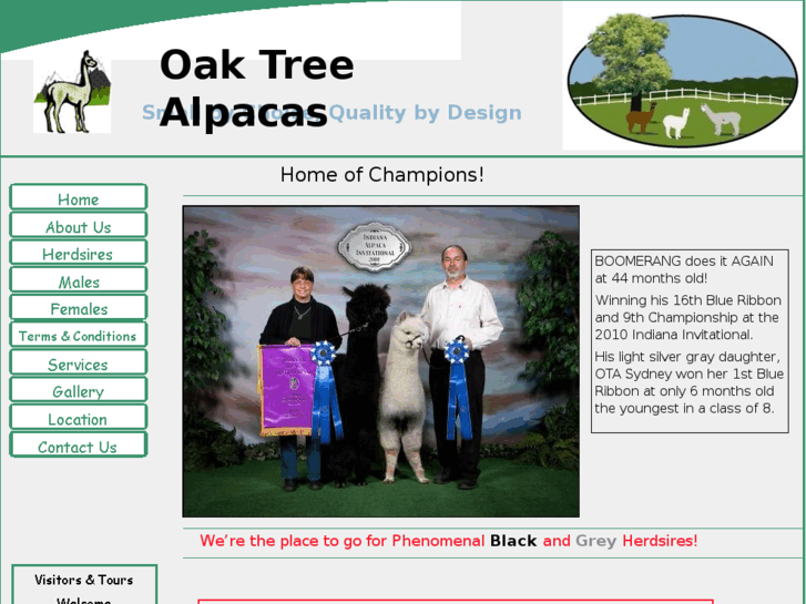 www.oaktreealpacas.com