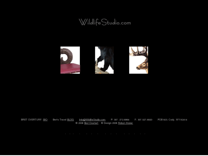 www.wildlifestudio.com