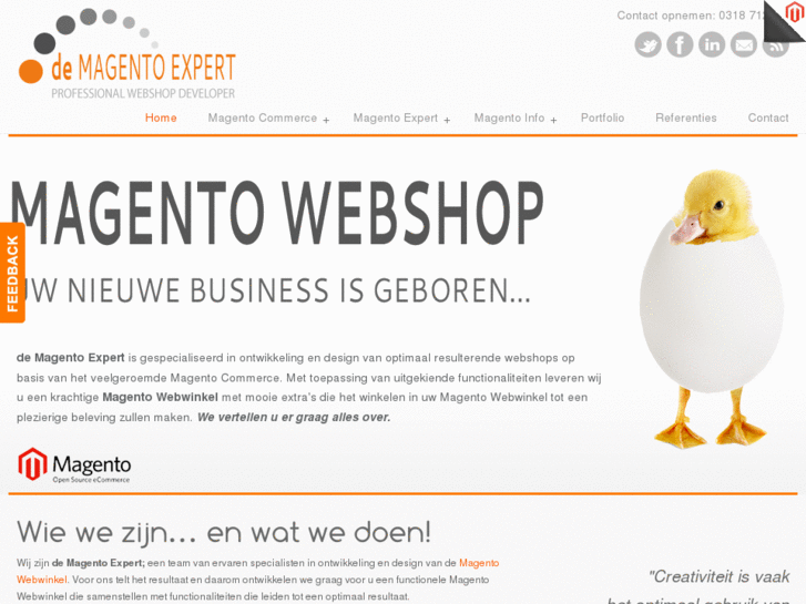 www.demagentoexpert.nl