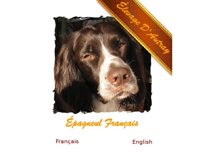 www.epagneulfrancais-dautray.com