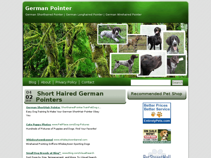 www.germanpointer.net