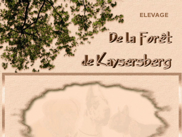 www.laforetdekaysersberg.com