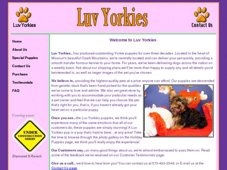 www.luvyorkies.com