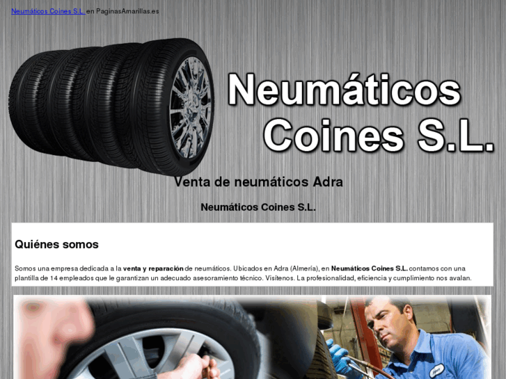 www.neumaticoscoines.es