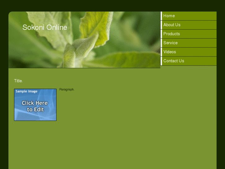 www.sokonionline.com