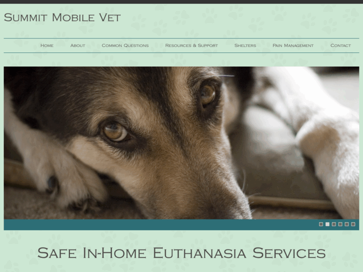 www.summitmobilevet.com