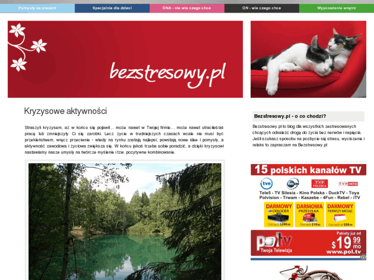 www.bezstresowy.pl