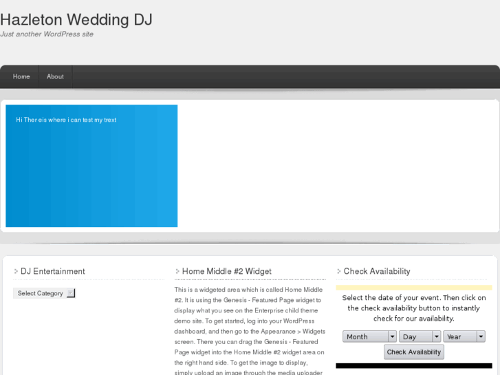 www.hazletonweddingdj.com