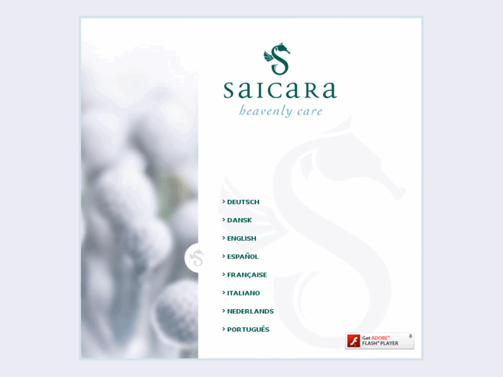 www.saicara.com