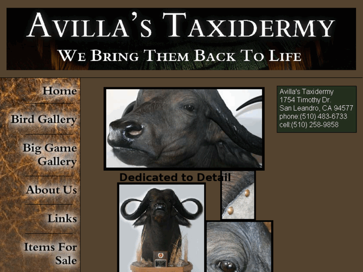 www.avillastaxidermy.com