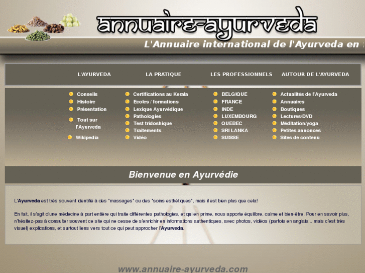 www.ayurveda-annuaire.com