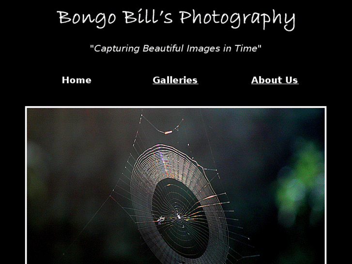 www.bongobills.com